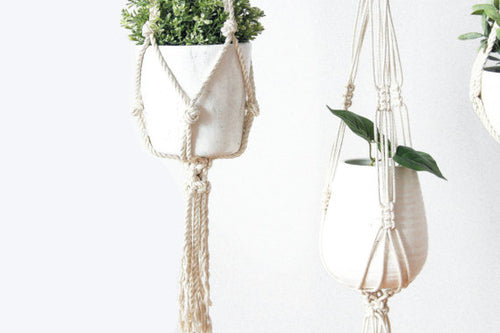 Hanging Garden Macramé Holder